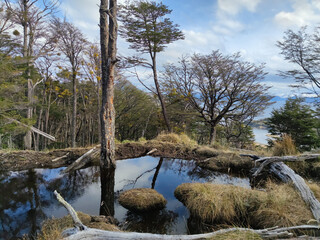 A lake on an island in Patagonia, Argentina, Tierra del Fuego with a view of the coast.