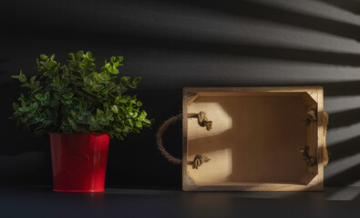 Arrière plan noir avec une caisse en bois vide et une plante verte. 