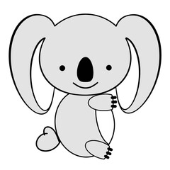 koala bear 