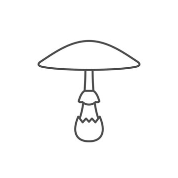 recommend clip art: Amanita pantherina line outline icon