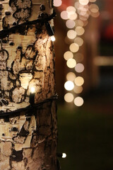 Close-up of a festively decorated Christmas background with birch - 698704838