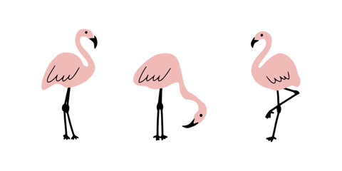 Pink flamingo. Cute kids print. Birds vector illustration isolated on white background.