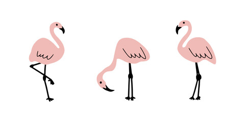 Pink flamingo. Cute kids print. Birds vector illustration isolated on white background.