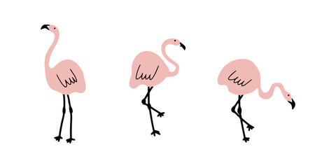 Pink flamingo. Cute kids print. Birds vector illustration isolated on white background.