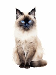 Minimalistic Watercolor Illustration of a Sitting Balinese Cat AI Generated