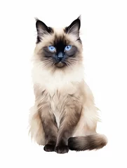 Tuinposter Minimalistic Watercolor Illustration of a Sitting Balinese Cat AI Generated © Alex