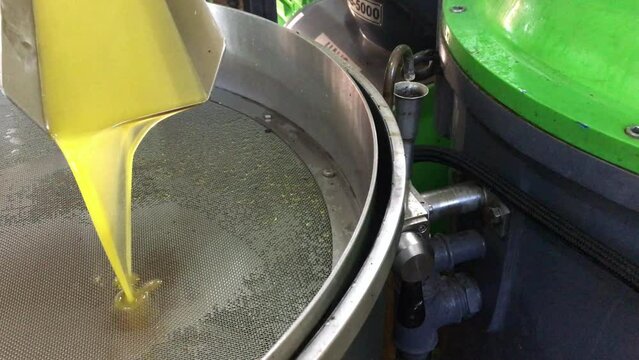 Producing Olive Oil From Fresh Olives In The Factory