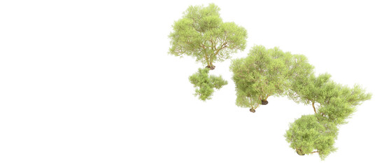 Green forest isolated on background. 3d rendering - illustration