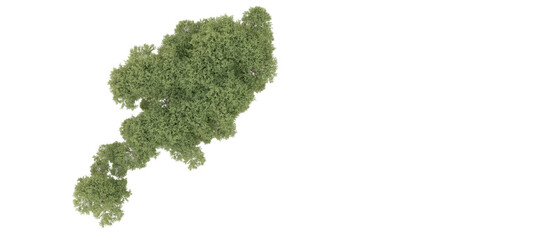 Green forest isolated on background. 3d rendering - illustration