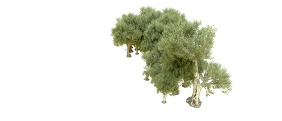 Fototapeta premium Green forest isolated on background. 3d rendering - illustration