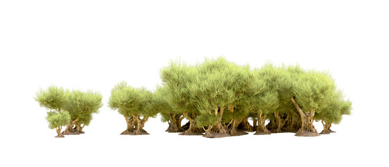 Green forest isolated on background. 3d rendering - illustration