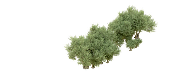 Realistic green forest isolated on background. 3d rendering - illustration