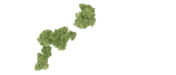 Realistic green forest isolated on background. 3d rendering - illustration