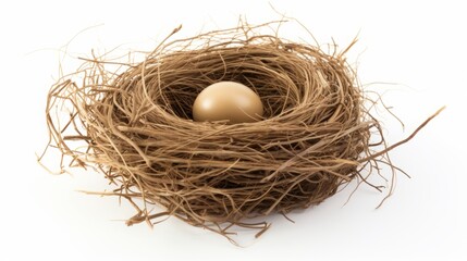 bird's nest made of straw with an egg inside.