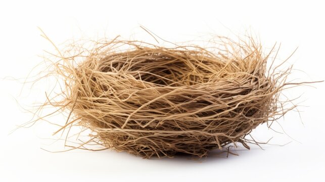 empty bird's nest made of straw on a white background isolated.