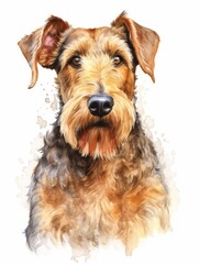 Spirited Welsh Terrier in Watercolor on White Background AI Generated