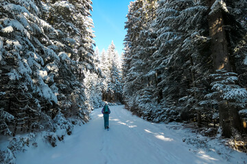 Woman with snow shoes on scenic hiking trail in snowy forest path leading to Reinischkogel,...