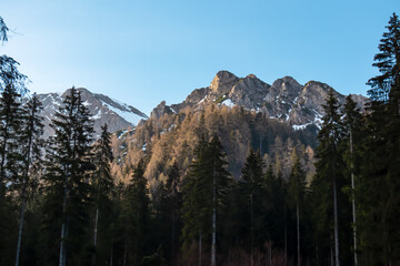 Panoramic morning view on mountain peak Schwarzkogel in Karawanks mountains in Carinthia, Austria. Looking through dense forest. Misty and magical atmosphere in remote landscape in Austrian Alps