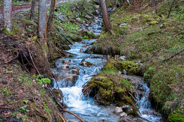 Small stream running through a forest in Karwanks in Carinthia, Austria. Surrounded by trees and rocks. Large fallen tree lying across the river. Moss on tree is lush green. Water is clear and blue