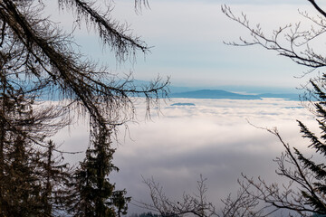 Fototapeta na wymiar Fog covering valley like a carpet in Karawanks mountains in Carinthia, Austria. Scenic view from dense forest on alpine landscape in Austrian Alps. Tree branches in the foreground. Morning vibes