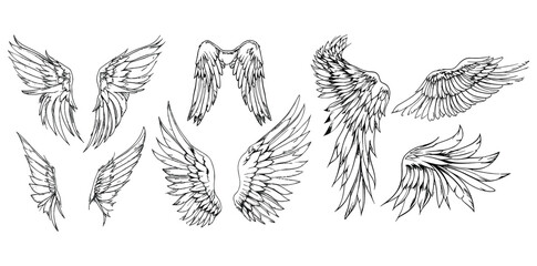 Angel wings illustration vector set, wings graphic element, thin line black, angelic feathered vectors, angel wing clipart collection, transparent background - obrazy, fototapety, plakaty