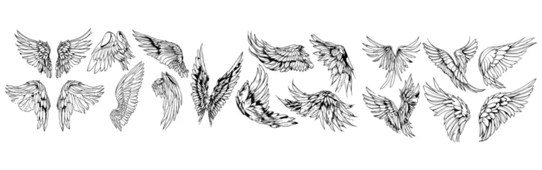 Foto op Plexiglas Angel wings illustration vector set, wings graphic element, thin line black, angelic feathered vectors, angel wing clipart collection, transparent background © LOVE VECTOR