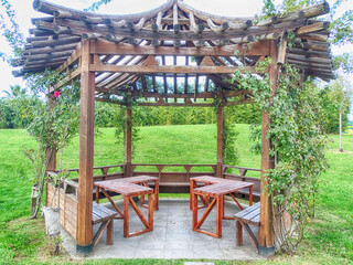 wooden pergola with seats and vines