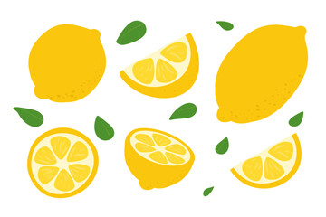 Fresh lemon fruits. Collection of lemon slices - obrazy, fototapety, plakaty