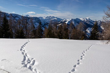 Foot prints in the snow on mountain summit of Matschacher Gupf in Karawanks, Carinthia, Austria....
