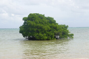 Belize - Ambergris Caye - Island Views