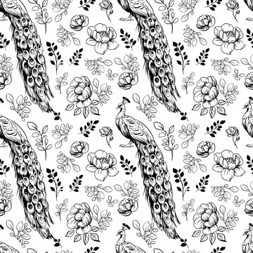 Peacock and flowers, sketch. Seamless pattern. vector illustrations, outline on a transparent background