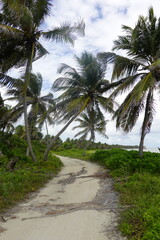 Fototapeta na wymiar Belize - Ambergris Caye - Island Views