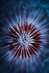 beautiful dandelion flower in springtime