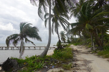 Fototapeta na wymiar Belize - Ambergris Caye - Island Views