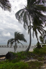 Belize - Ambergris Caye - Island Views