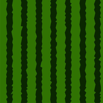 Watermelon seamless pattern. Green stripes of watermelon background. Vector illustration