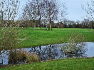 pond in golf course