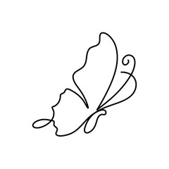 Butterfly continuous line drawing 