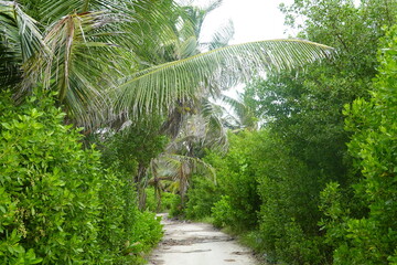 Belize - Amergris Caye - Island Views
