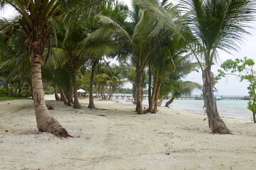 Belize - Amergris Caye - Island Views