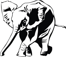 Cartoon Black and White Isolated Illustration Vector Of A Baby Elephant Running © Matt