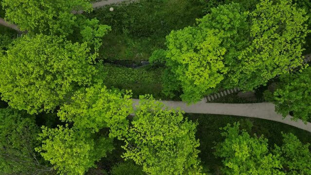 above, artificial, background, basketball, brown, cage, carpet, celebration, children, drone, drone view, floorball, flying, football, football stadium, function, goal, goals, grass, green, guardrails