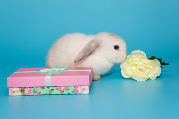 White decorative fold rabbit with a gift box and flowers