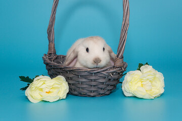 White decorative fold rabbit in a basket and flowers