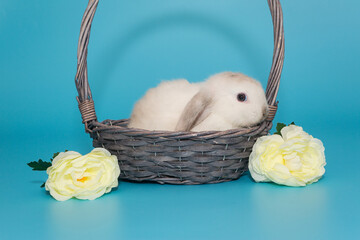 White decorative fold rabbit in a basket