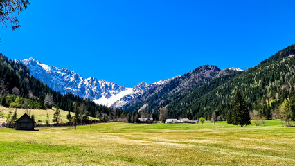 Alpine meadow of the Maerchenwiese with panoramic view of Karawanks mountains in Carinthia,...