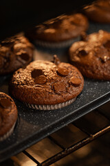 Close up brownie style chocolate muffins with melting chocolate chips baking in oven. Food recipe. Selective focus