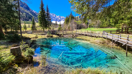Scenic view of crystal clear waters with submerged logs of Lake Meerauge surrounded by green trees in Boden Valley in Karawanks mountain range in Austria. Turquoise colored pond Austrian Alps - obrazy, fototapety, plakaty