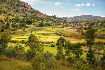 Typical Madagascar landscape in region near Tsiafahy, small hills covered with green grass and...