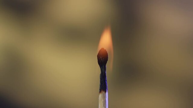The burning match demonstrates a smooth extinguishing, dims, disappearing beneath the smoke. The process symbolizes the end, the fading out and the transition to silence and tranquility. Macro.